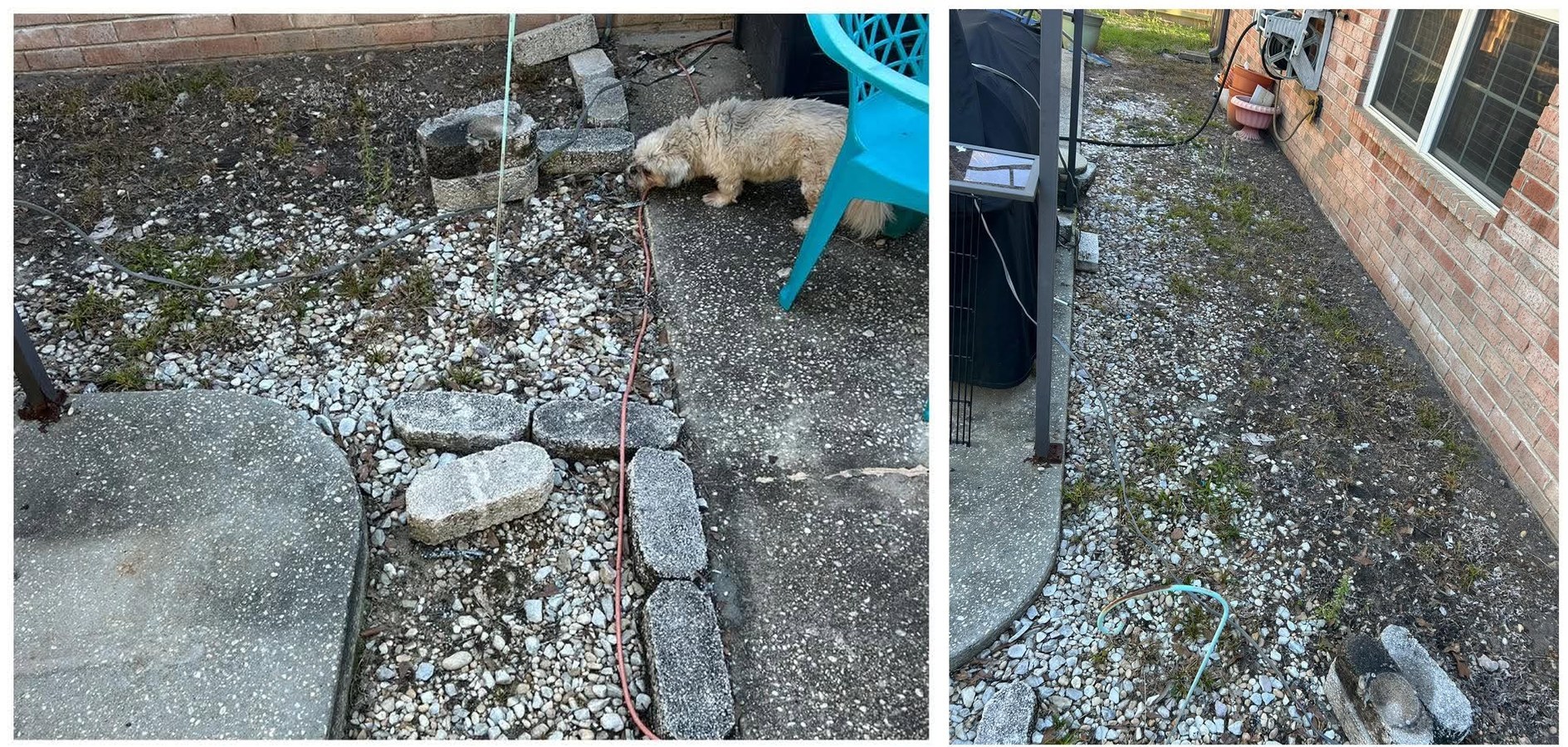 Before: bare gravel and weeds along the walkway