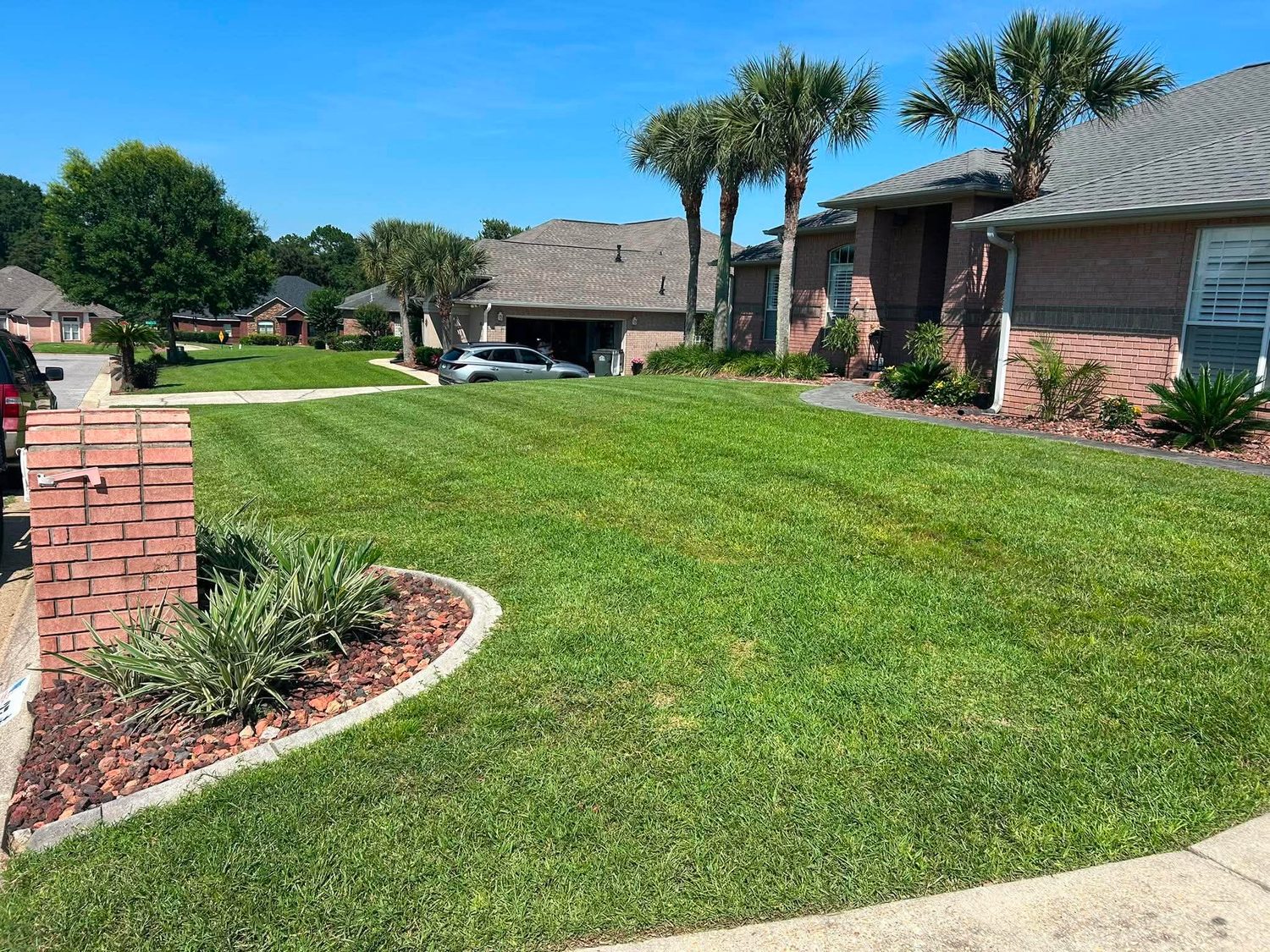 Manicured front lawn with palm trees